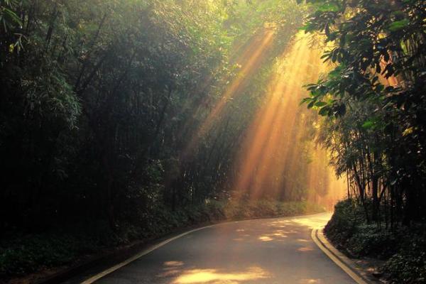 晨雾迷踪:晨字五行属金还是火?揭秘性格奥秘与改变格局 晨雾迷踪:晨字五行属金还是火?揭秘性格奥秘与改变格局