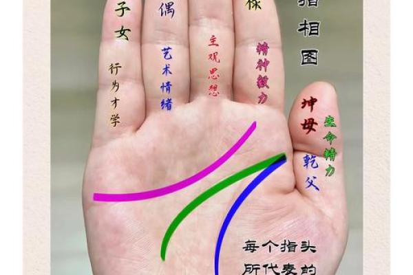 八字命理揭示:反而是这些健康秘密决定了你的人生走向 八字命理揭示:反而是这些健康秘密决定了你的人生走向