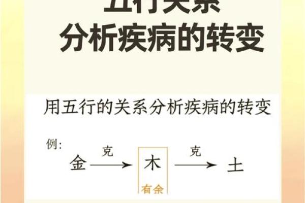 性格解析新视角:五行格局中的生活智慧 性格解析新视角:五行格局中的生活智慧