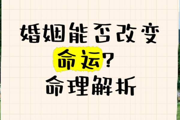 亥月命理中的颠覆性秘密:改变命运的最佳时机 亥月命理中的颠覆性秘密:改变命运的最佳时机