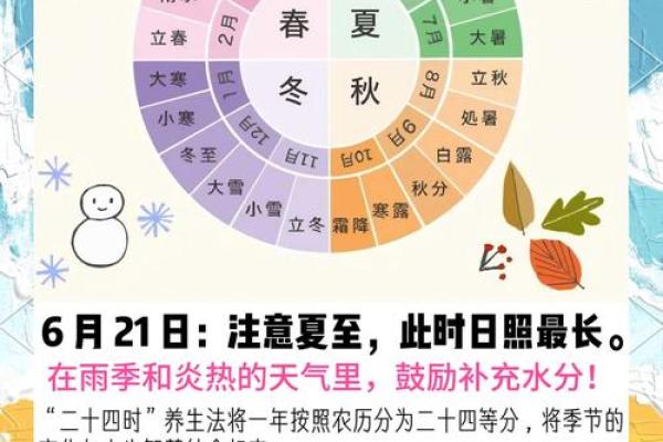 养生与自然：全球不同文化中的夏至节日