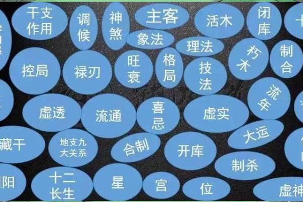 孙莉命理解析：如何改变命运？八字中的秘密你未曾察觉