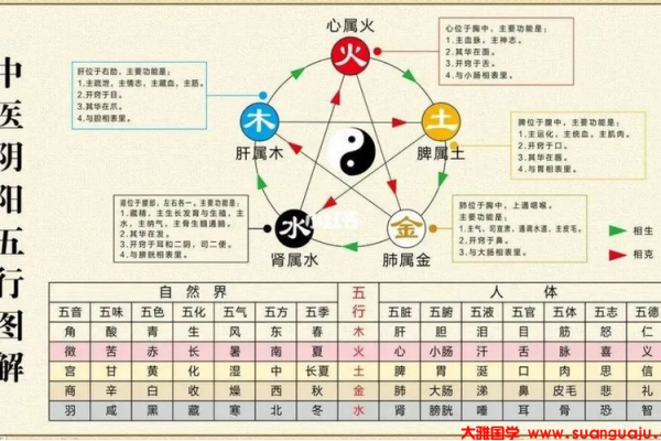 五行格局中的育字解析：揭开性格背后的命运规律