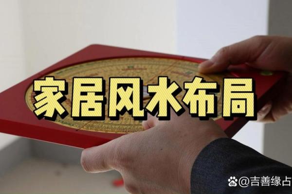 家居五行格局揭秘：屋字如何布局反而助你财运亨通？