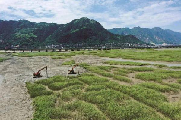 景颇族传统节日中的养生智慧：与自然和谐共生