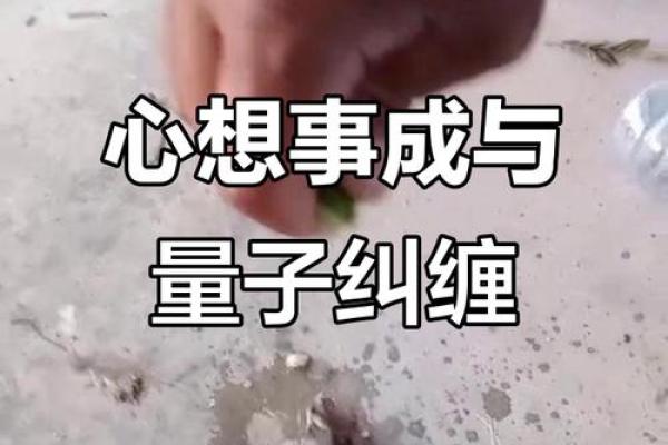袁弘的命理反而揭示了改变命运的正确方式