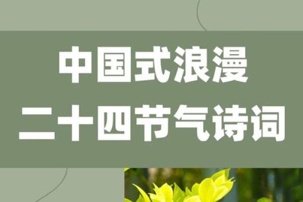 秋季节令对身体调养的重要性 秋季节令对身体调养的重要性