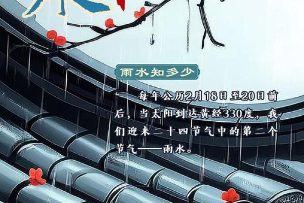 雨水中的命运密码：从八字看你如何改变未来