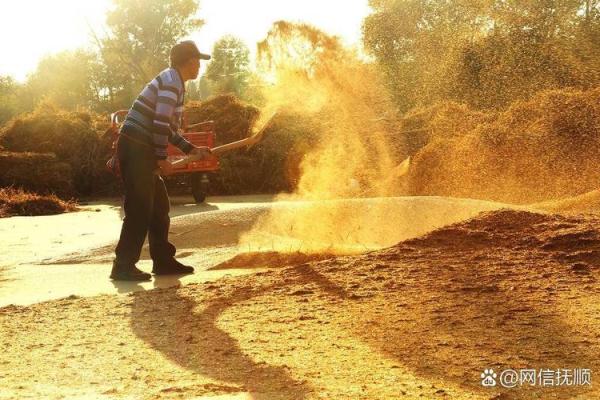 农耕文化中的秋收时节与传统养生之道 农耕文化中的秋收时节与传统养生之道