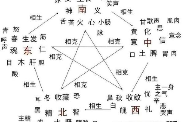五行格局误区大揭秘：舒字属木还是金？反而揭示你的真实性格特质