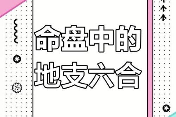 地支误区命运密码反而揭示了真相