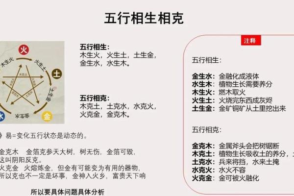 五行格局大揭秘：反而让你更了解自己——润五行属性实用解析
