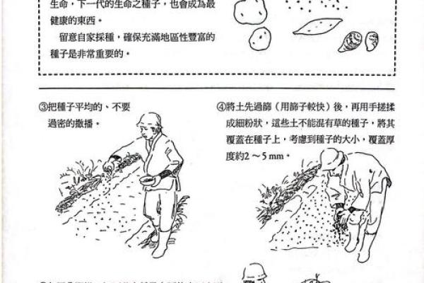 与农耕息息相关的季节变化，如何根据自然规律规划生活