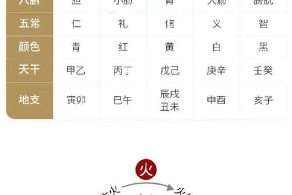 五行格局巧运用:十二地支性格解析,教你如何改变命运轨迹 五行格局巧运用:十二地支性格解析,教你如何改变命运轨迹