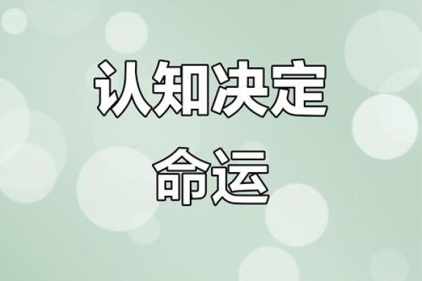 从命理小白到大师：颠覆你对命运的所有认知