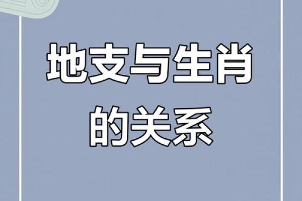 命运密码背后的五行奥秘，属相竟然能改变你的运势