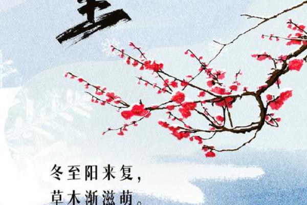 今天是中国的冬至节气，传统养生与天文智慧交织