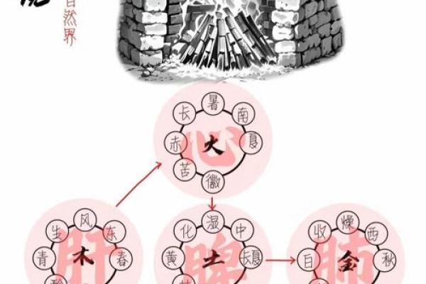 五行格局升级指南:告别固步自封,你的性格如何转型成功? 五行格局升级指南:告别固步自封,你的性格如何转型成功?
