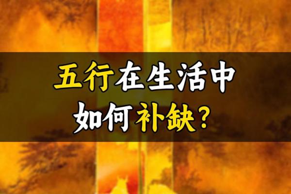鲁五行反而更成功?揭秘五行性格的隐藏优势 鲁五行反而更成功?揭秘五行性格的隐藏优势