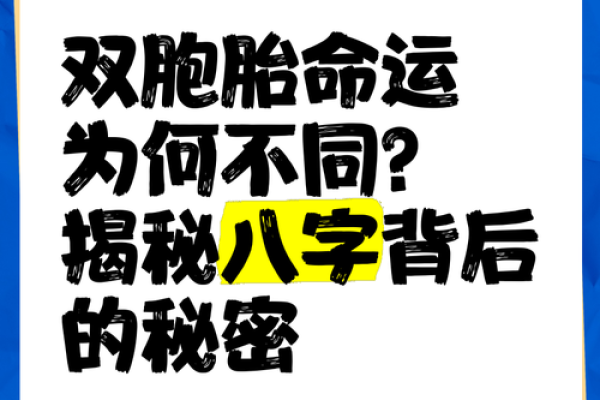 反而不看八字命理?命运密码背后的颠覆真相 反而不看八字命理?命运密码背后的颠覆真相