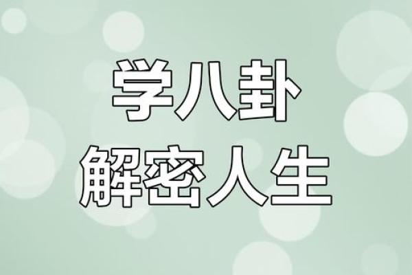 壬子命运密码:破解隐藏的命理玄机 壬子命运密码:破解隐藏的命理玄机