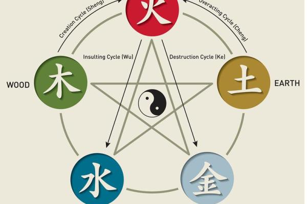 楠木五行属木，你的性格有何独特之处？