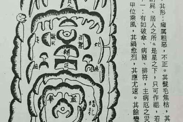 五行格局大揭秘：仰字性格解析，走出人生迷茫误区