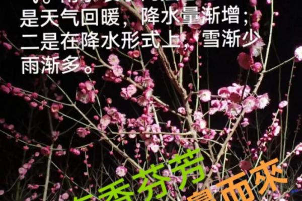 探秘中国传统节日背后的农耕智慧