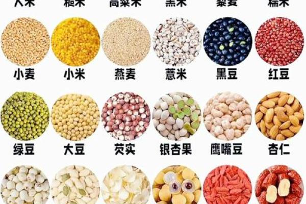 五行格局深度解析：谷类食材的神秘性格，如何影响你的日常饮食？