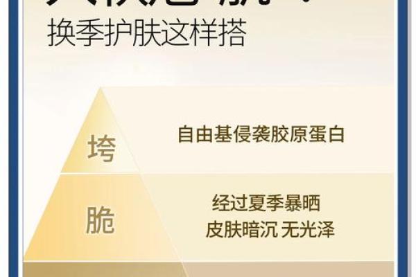 秋冬交替时节的养生技巧