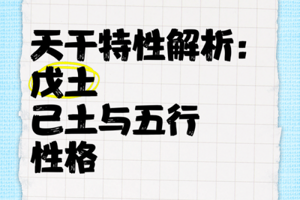 五行格局中的艳：揭秘性格解析，如何让你的生活焕然一新？