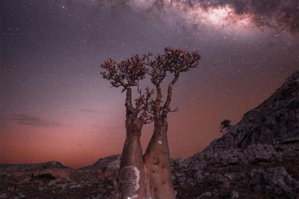 七夕节与星空：从天文角度看牛郎织女的相会