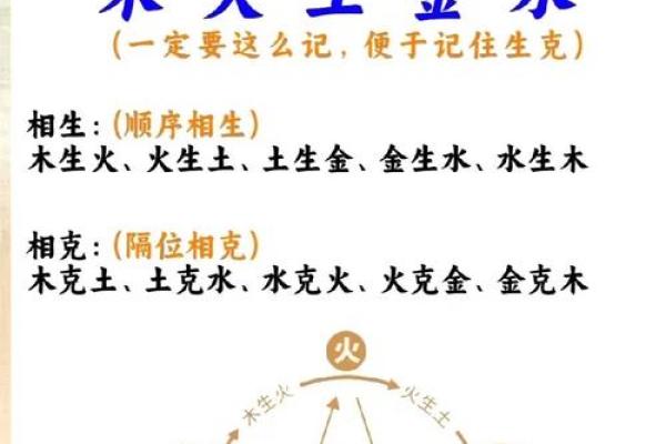 性格解析新篇章：五行干支如何帮助你找到人生方向