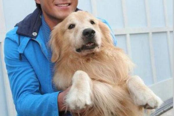 五行格局揭秘:古天乐命理中的隐藏秘密,如何改变你的运势? 五行格局揭秘:古天乐命理中的隐藏秘密,如何改变你的运势?