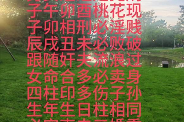 发现命运的暗藏玄机:如何通过八字命理改变你的未来 发现命运的暗藏玄机:如何通过八字命理改变你的未来