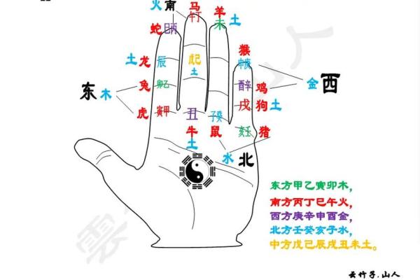 五行格局如何影响性格？十二地支揭秘，让你知己知彼