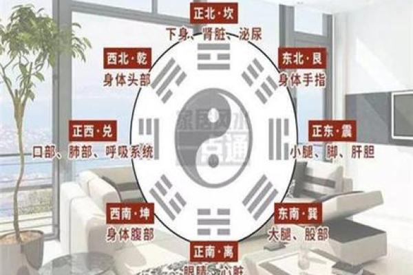 凯字五行格局如何改变？实用技巧助你提升运势