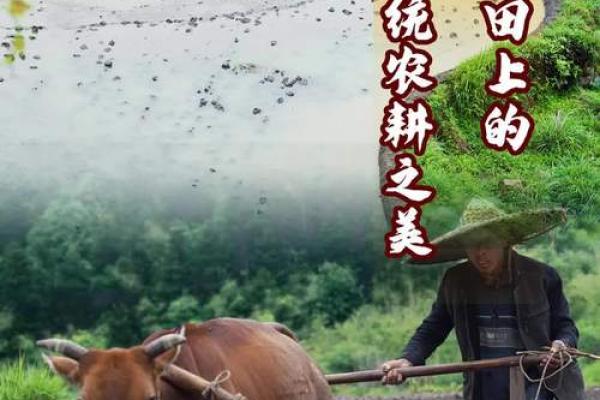 维吾尔族古尔邦节的农耕与传统意义