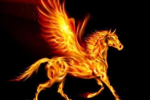 蓉花五行格局解析：如何利用五行改变命运性格？揭秘