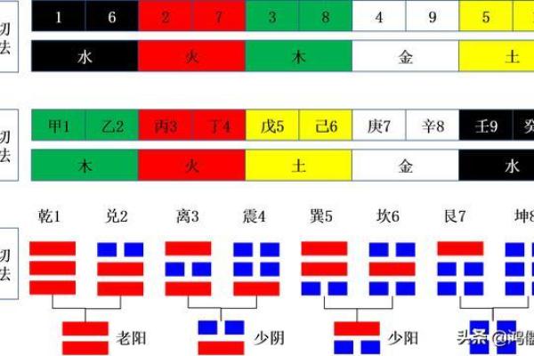 蓉花五行格局解析：如何利用五行改变命运性格？揭秘