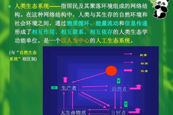 全球节日与季节变换的自然联系