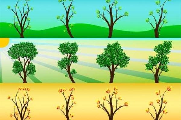 全球节日与季节变换的自然联系