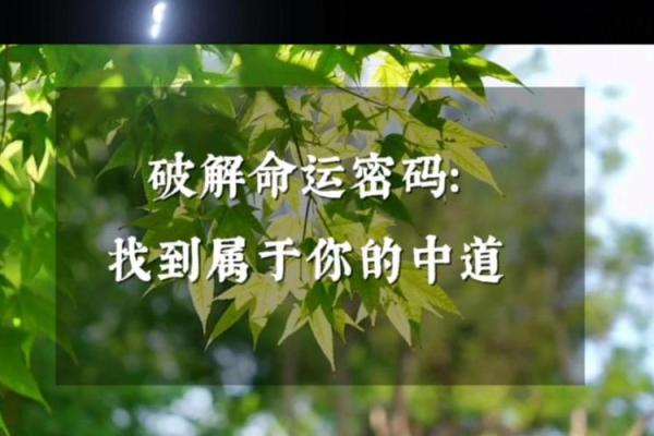如何利用金泰熙的命理分析,破解自己的命运密码 如何利用金泰熙的命理分析,破解自己的命运密码