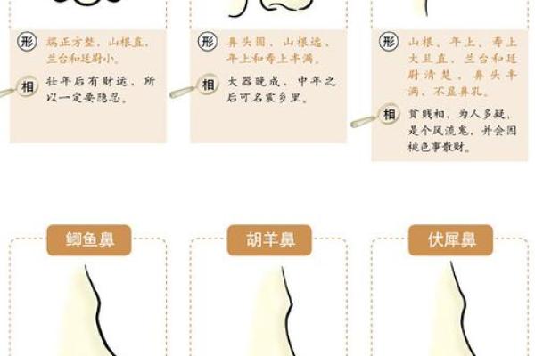 阿娇命理面相解密:你的命运密码藏在这些细节里 阿娇命理面相解密:你的命运密码藏在这些细节里