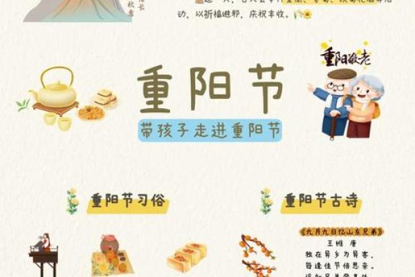 全球节日中的文化与应用：从庆祝到传承