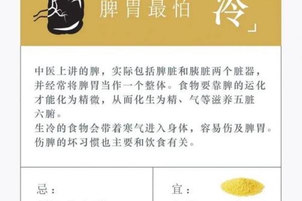 五行性格解析:揭秘你的饮食误区与调养之道 五行性格解析:揭秘你的饮食误区与调养之道