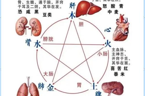 瑞的五行属水？揭秘性格重塑的神秘法则