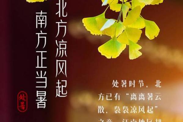 天文奇观与农耕节气的交汇点