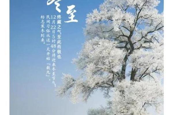 天文奇观与农耕节气的交汇点