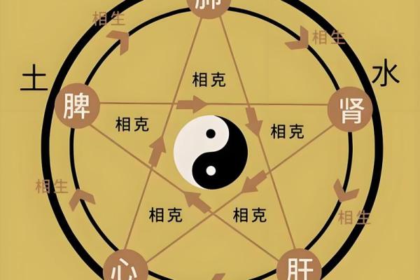五行误区大揭秘:缺木缺水,反而成就非凡人生? 五行误区大揭秘:缺木缺水,反而成就非凡人生?